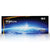 BrightLine W2 Panel