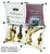 2x2 Collage Pop up Display Kit 10, similar to Xpressions kit