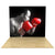 Igniter LED Backlit Light Boxes