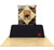 Table Top 3D Snap™ Displays