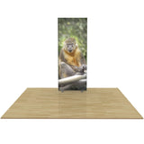 Igniter LED Backlit Light Boxes