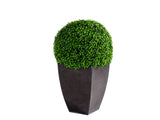 Accessories - Furniture Rentals