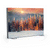 Animated LED Backlit Light Boxes