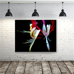 Igniter Wall Mounted Displays - Light Box Displays