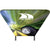 Formulate Essential Banner